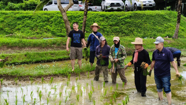 ​ชาวไร่ ร่วมขรก.ตำรวจ "ปลูกวันแม่ เกี่ยววันพ่อ"