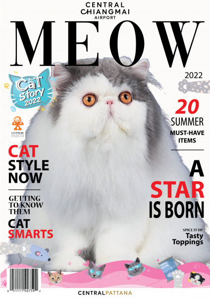 ศูนย์การค้าเซ็นทรัล เชียงใหม่ แอร์พอร์ต ขอชวนทาสแมว เที่ยวงาน “Cat Story 2022”