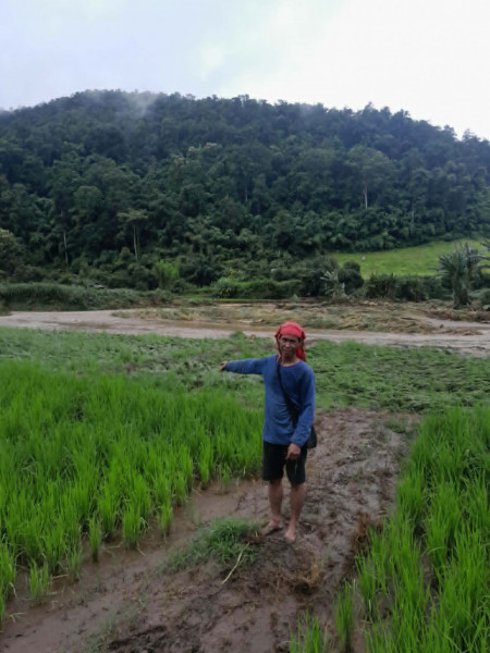 บ้านหนองแห้ง อ่วมหนัก! น้ำหลากไร่นาเสียหายยับ