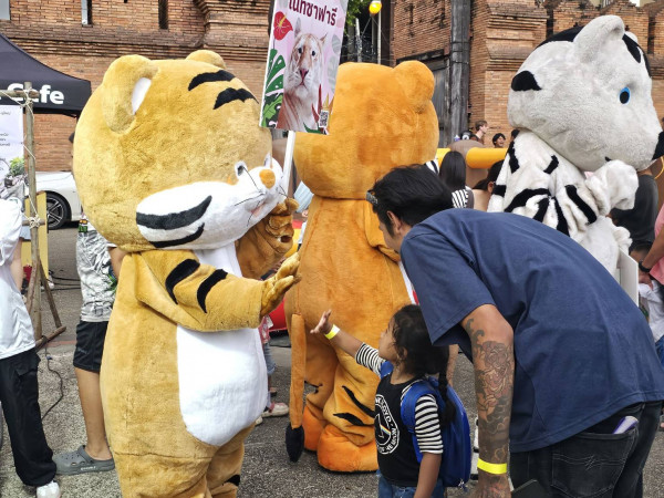 กลับมาอีกครั้งเชียงใหม่ไนท์ซาฟารี จัดกิจกรรม “Chiang Mai Night Safari On Tour” นำความสนุกและความรู้สู่ใจกลางเมืองเชียงใหม่ 12-13 กรกฎาคมนี้ ที่ลานท่าแพ