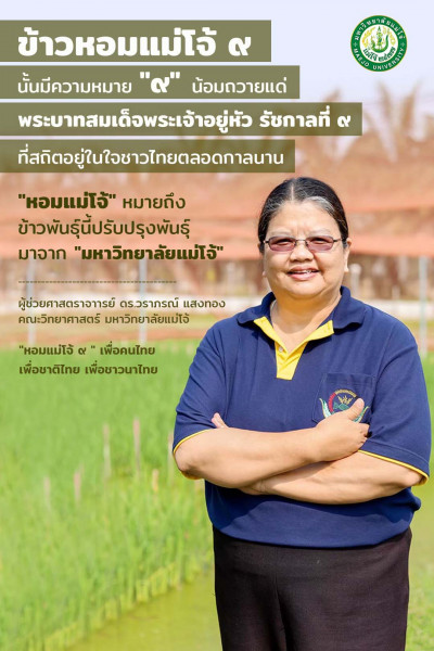 ม.แม่โจ้ และ สวก. ส่งมอบเมล็ดพันธุ์ข้าว “หอมแม่โจ้ 9”  ข้าวพันธุ์ใหม่ ให้สมาคมผู้รวบรวมและจำหน่ายเมล็ดพันธุ์ข้าว พร้อมเร่งขยายผลส่งต่อถึงมือเกษตร