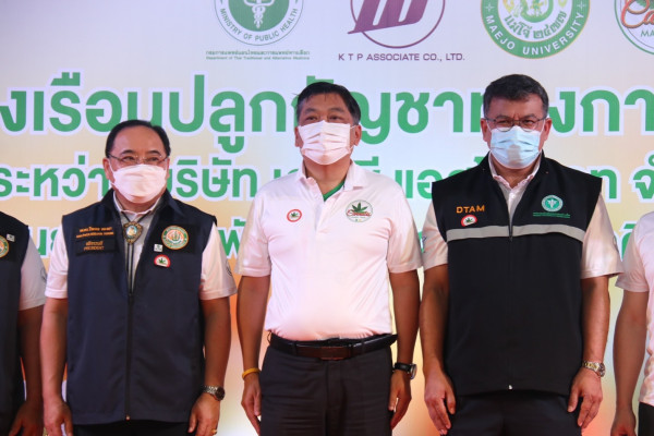 แม่โจ้ เปิดโรงเรือนปลูกกัญชาในระบบอุตสาหกรรมอินทรีย์ 24,000 ต้น เพื่อผลิตกัญชาที่มีคุณภาพนำไปสกัดทำยารักษาโรค
