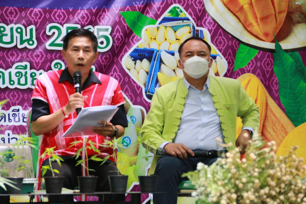 เกษตรจังหวัดเชียงใหม่  จัดเวทีเสวนาให้ความรู้ หลังปลดล๊อก "กัญชา"