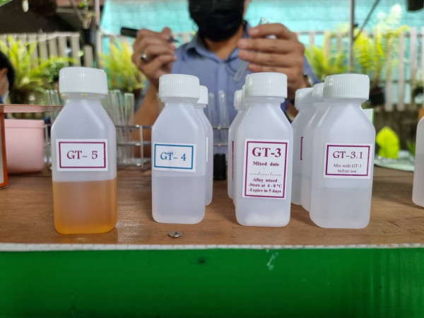 ตลาดเกษตรกรชม. สินค้าเกษตรปลอดภัย  ห่างไกล"โควิด-19"
