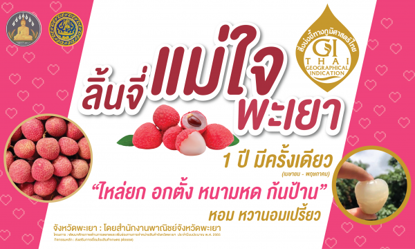 ลิ้นจี่แม่ใจ ลิ้นจี่ GI จังหวัดพะเยา